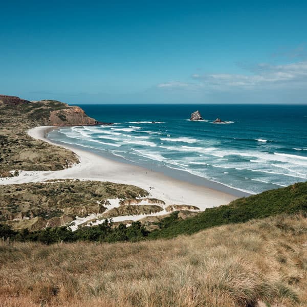 Dunedin et la péninsule d'Otago