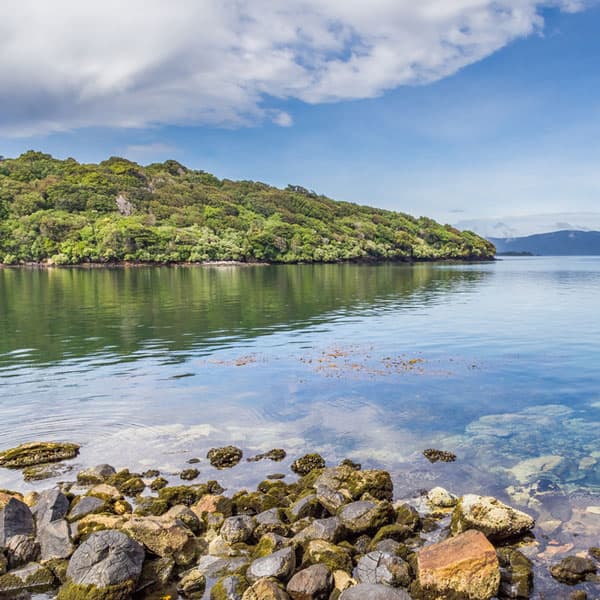 Rakiura / Stewart Island
