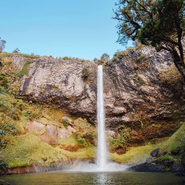 Region Waikato
