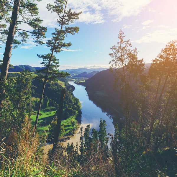 Whanganui National Park