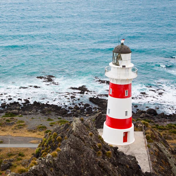 Cape Palliser Lighthouse Track