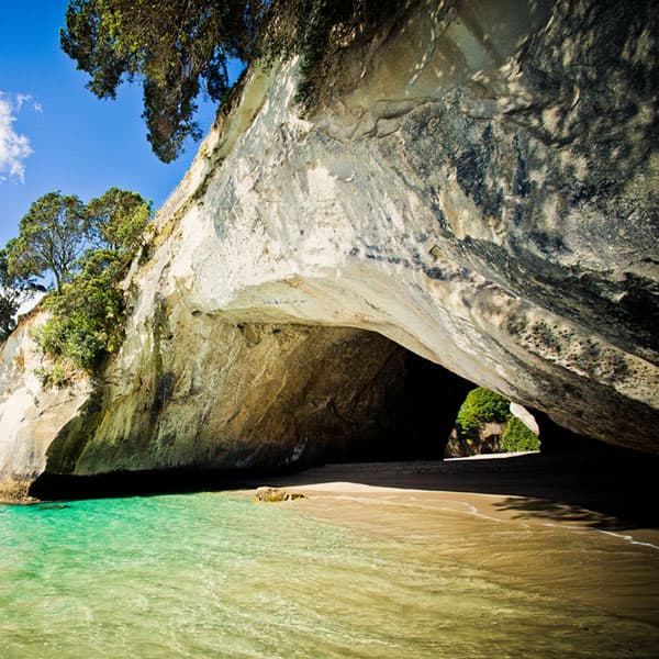 Cathedral Cove Track