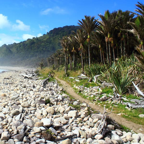 Heaphy Track