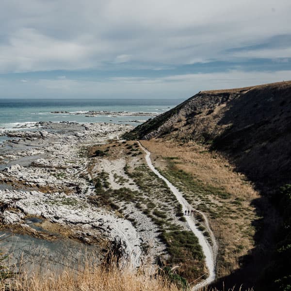 Kaikōura Peninsula Walkway