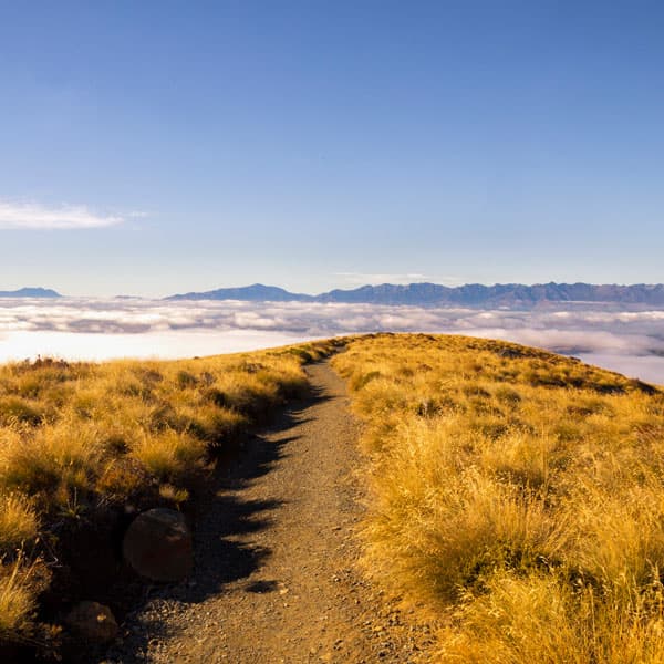 Kepler Track