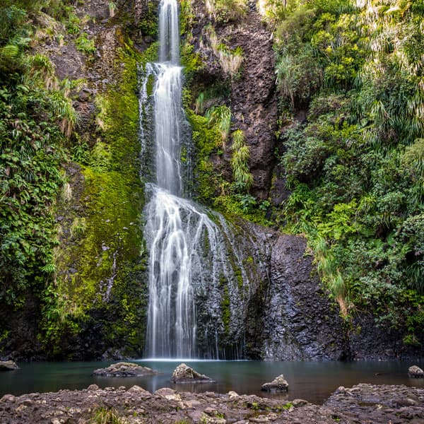 Kitekite Falls Track