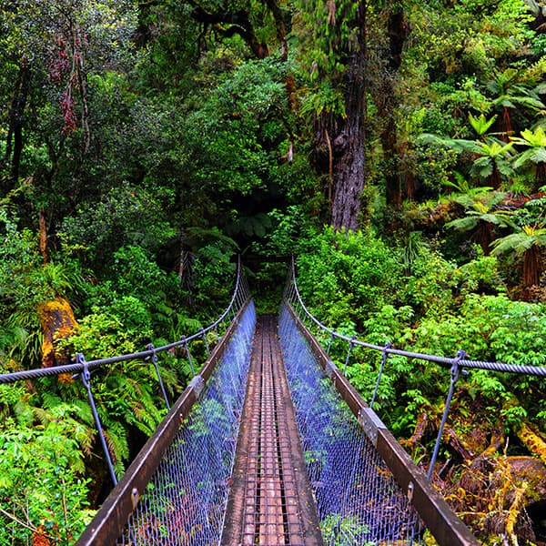 Lake Waikaremoana Track