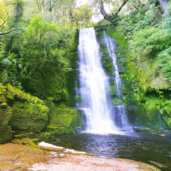 McLean Falls Track