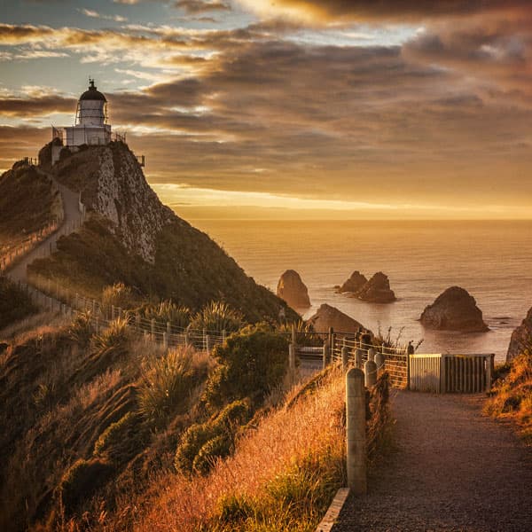 Nugget Point Lighthouse Walk