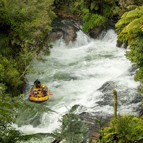 Okere Falls Track