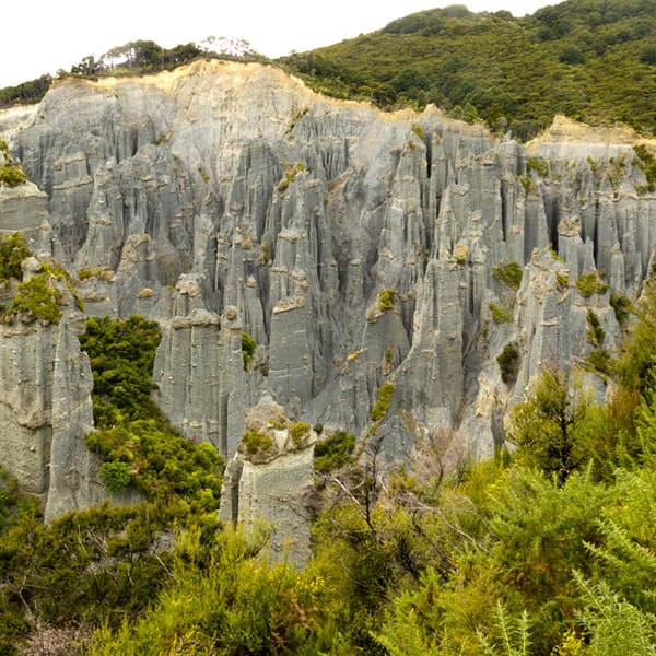Putangirua Pinnacles Track