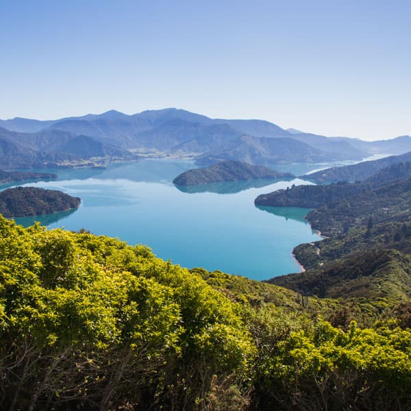 Queen Charlotte Track