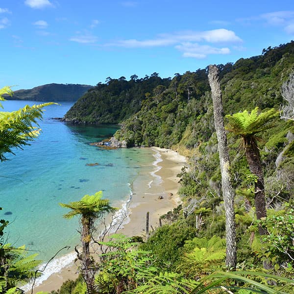 Rakiura Track