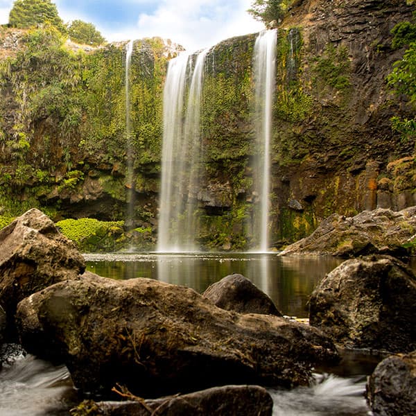Whangārei Falls Walkway